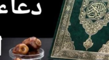 بماذا يدعو الذاكرون في اليوم 28 لنيل نصيب وافر من الجنة؟